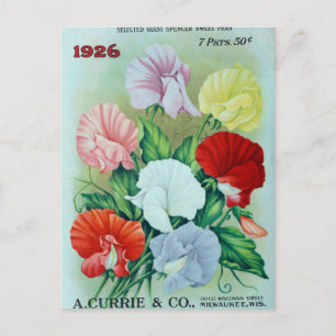 Cartão Postal Cartão-postal Vintage Seed