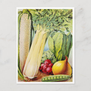 Cartão Postal Cartão-postal Vintage Seed