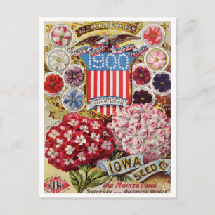 Cartão Postal Cartão-postal Vintage Seed