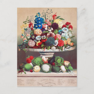 Cartão Postal Cartão-postal Vintage Seed