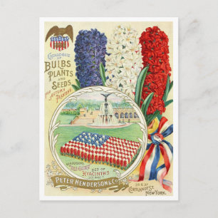 Cartão Postal Cartão-postal Vintage Seed