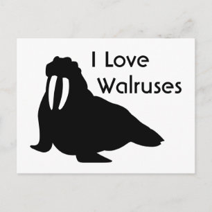 Cartão Postal Cartão-postal Walrus Love