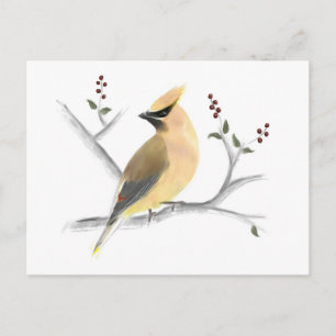 Cartão Postal Cartão-postal Watercolor Cedar Waxwing