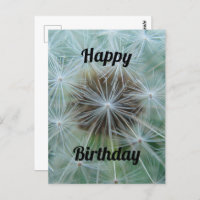 Cartão-postal White Dandelion