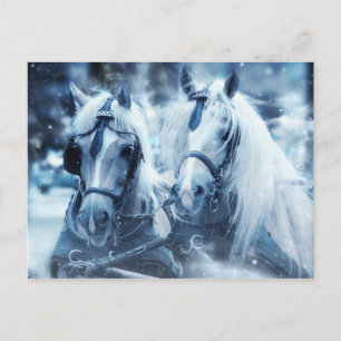 Cartão Postal Cartão-postal White Horse