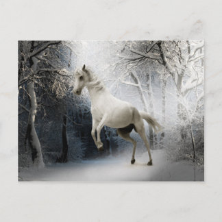 Cartão Postal Cartão-postal White Horse em Snowy Winter Landscap