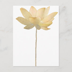Cartão Postal Cartão-postal White Lotus