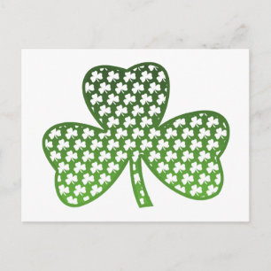 Cartão Postal Cartão-postal White Shamrocks em Shamrock Verde