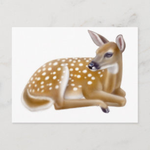 Cartão Postal Cartão-postal White Tailandês Deer Fawn
