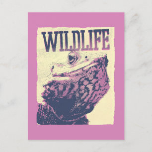 Cartão Postal Cartão-postal Wildlife