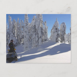 Cartão Postal Cartão-postal Winterscape do Snowmobiler