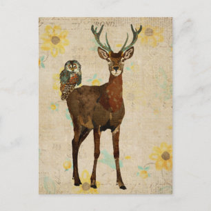 Cartão Postal Cartão-postal Woodsy Elk & Teal Owl