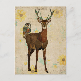 Cartão Postal Cartão-postal Woodsy Elk & Teal Owl