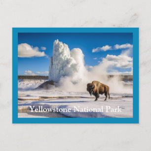 Cartão Postal Cartão-postal Yellowstone Bison e Geyser