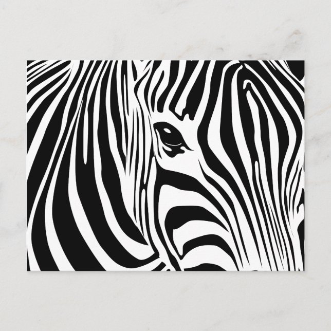 Cartão Postal Cartão-postal Zebra (Frente)