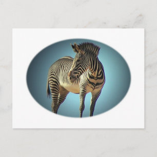 Cartão Postal Cartão-postal Zebra circular