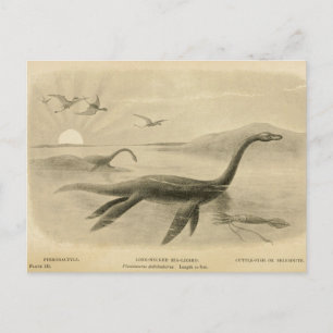 Cartão Postal Cartão-postal Zoológico Lizard Sea Pescoço Long