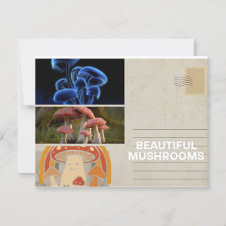 Cartão Postal cartão-poster de cogumelo-branco-endêmico