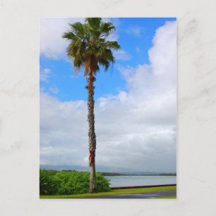 Cartão Postal Cartaz "Altura em Pé"