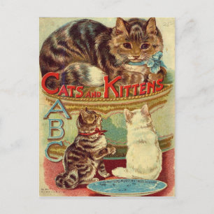 Cartão Postal Cartaz animal giro para gatos-do-campo