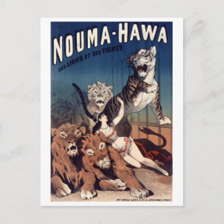 Cartão Postal Cartaz antigo do circo