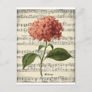 Cartão Postal Cartaz botânico da safra com hortensia rosa