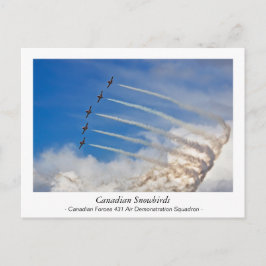 Cartão Postal Cartaz canadense Snowbird