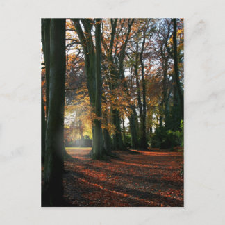 Cartão Postal Cartaz Cardíaco Profundo