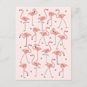 Cartão Postal Cartaz cor-de-rosa Flamingos