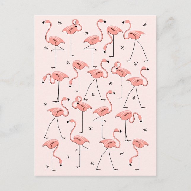 Cartão Postal Cartaz cor-de-rosa Flamingos (Frente)