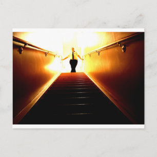 Cartão Postal Cartaz da borboleta por Niki