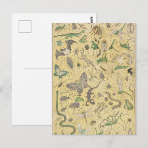 Cartão Postal Cartaz da Natureza com Insetos e Besouros Japonese