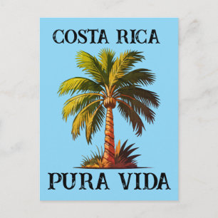 Cartão Postal cartaz da palmeira pura vida costa rica