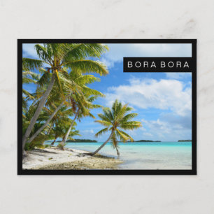 Cartão Postal Cartaz da praia de Palm no Pacífico