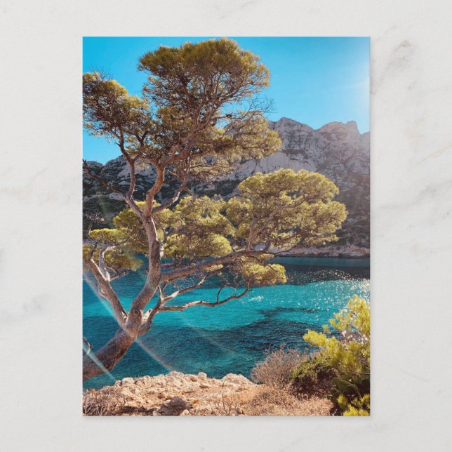 Cartão Postal Cartaz da Riviera Francesa em Marseill França (Frente)