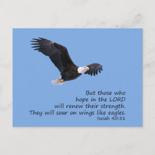 Cartão Postal Cartaz das Asas Como Águias
