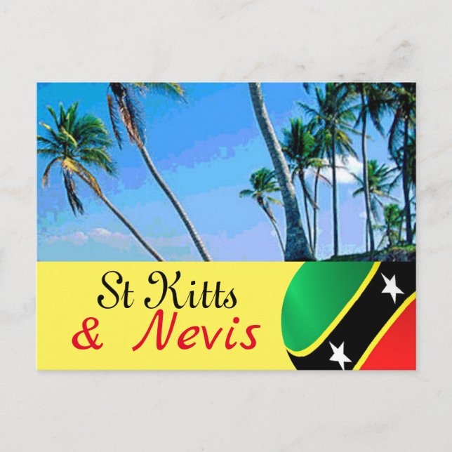 Cartão Postal Cartaz das palmeiras de Kitts e Nevis (Frente)