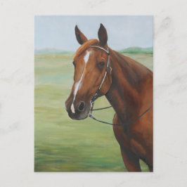 Cartão Postal Cartaz de Arte Animal Quarter Horse