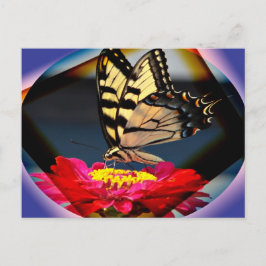 Cartão Postal Cartaz de arte borboleta