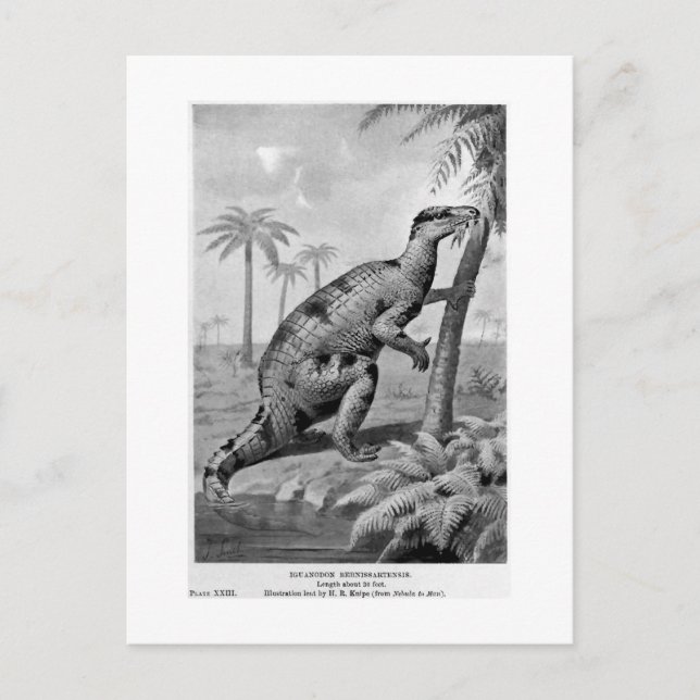 Cartão Postal Cartaz de arte de Iguanodon bernissartensis (Frente)