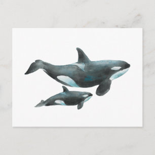 Cartão Postal Cartaz de Baleia Orca em Aquarela Mãe e Bebê
