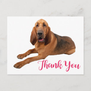 Cartão Postal Cartaz De Cachorro De Cachorro, Rosa, Obrigado