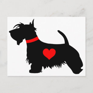 Cartão Postal Cartaz de cachorro escocês