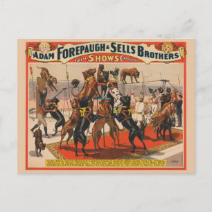 Cartão Postal Cartaz de Circo de Dogues Alemães com Treinador