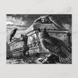 Cartão Postal Cartaz de companheira de coruja