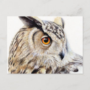 Cartão Postal Cartaz de cor d'água da Eagle Owl Eurasian