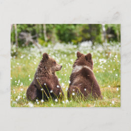 Cartão Postal Cartaz de dois amigos