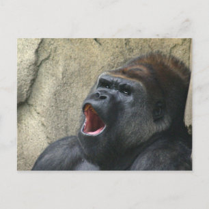 Cartão Postal Cartaz de gorila