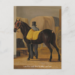 Cartão Postal cartaz de livre e perdido