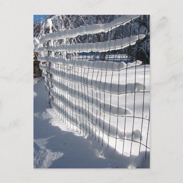 Cartão Postal Cartaz de Neve ~ (Frente)